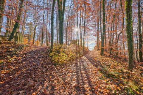 Gemeinde Julbach Landkreis Rottal-Inn Schlossberg Herbst (Dirschl Johann) Deutschland PAN